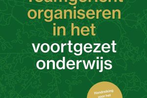 Teamgericht organiseren in het voortgezet onderwijs -