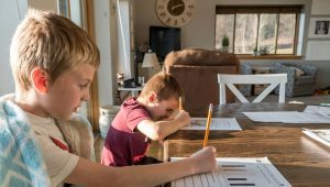 hoogbegaafde leerling zonder school