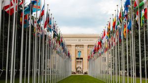 Wat iedereen moet weten over de Verenigde Naties
