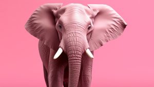 Roze olifant